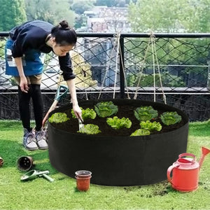 Garden Planting Bed